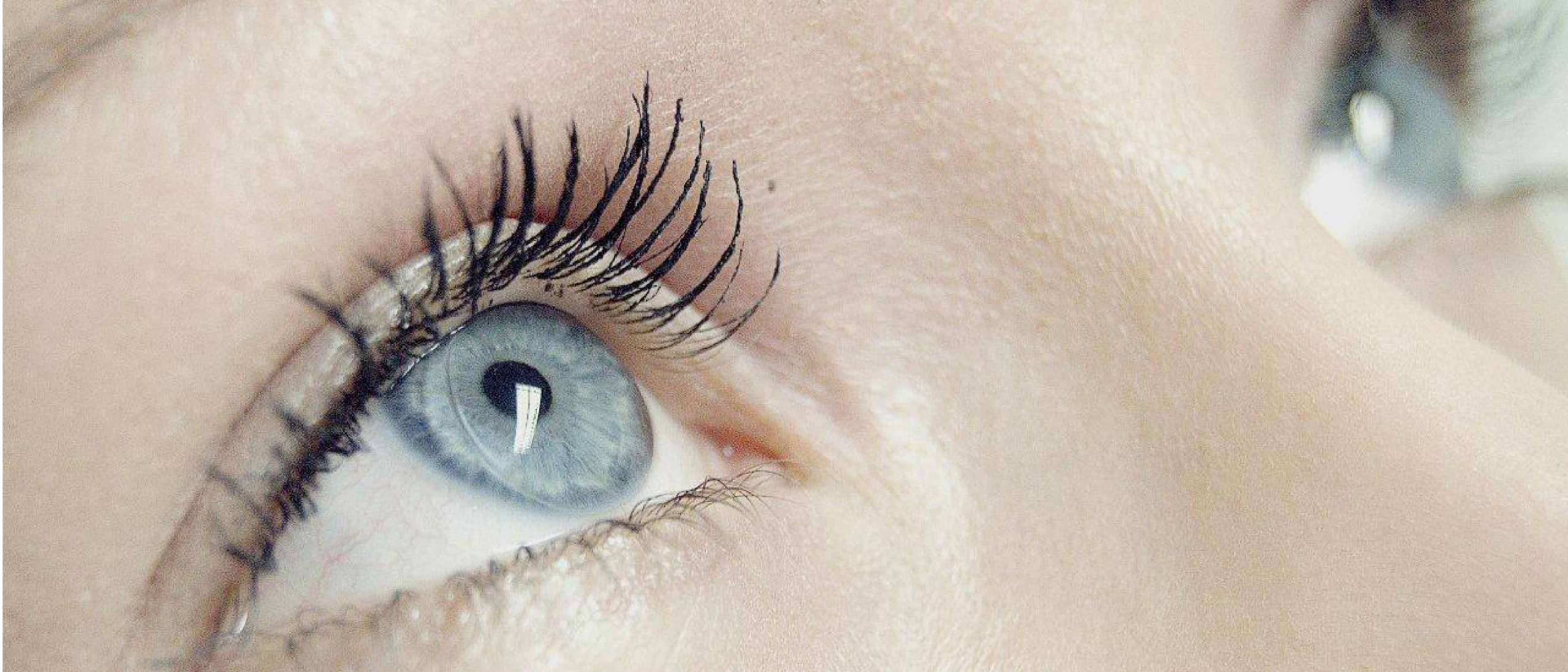 etnia Barcelona: extravagante Brillen für Individualisten